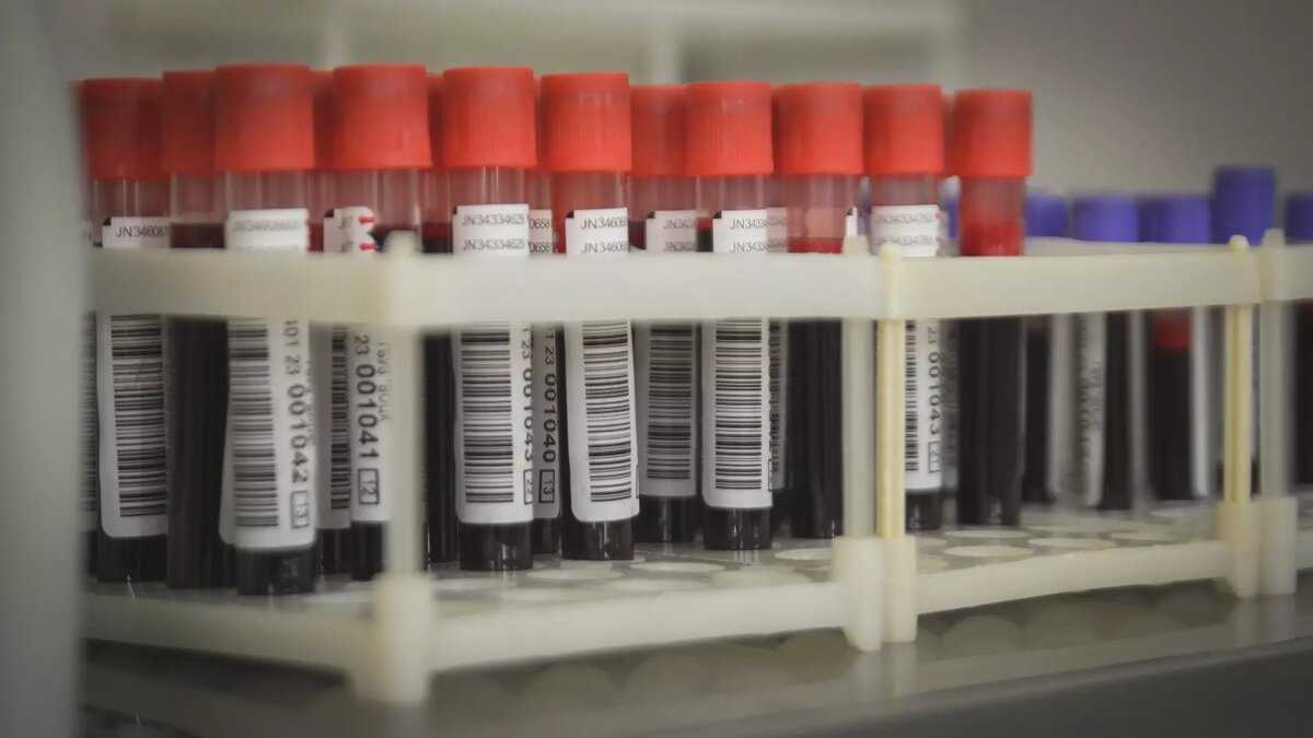     Источник: 1MI