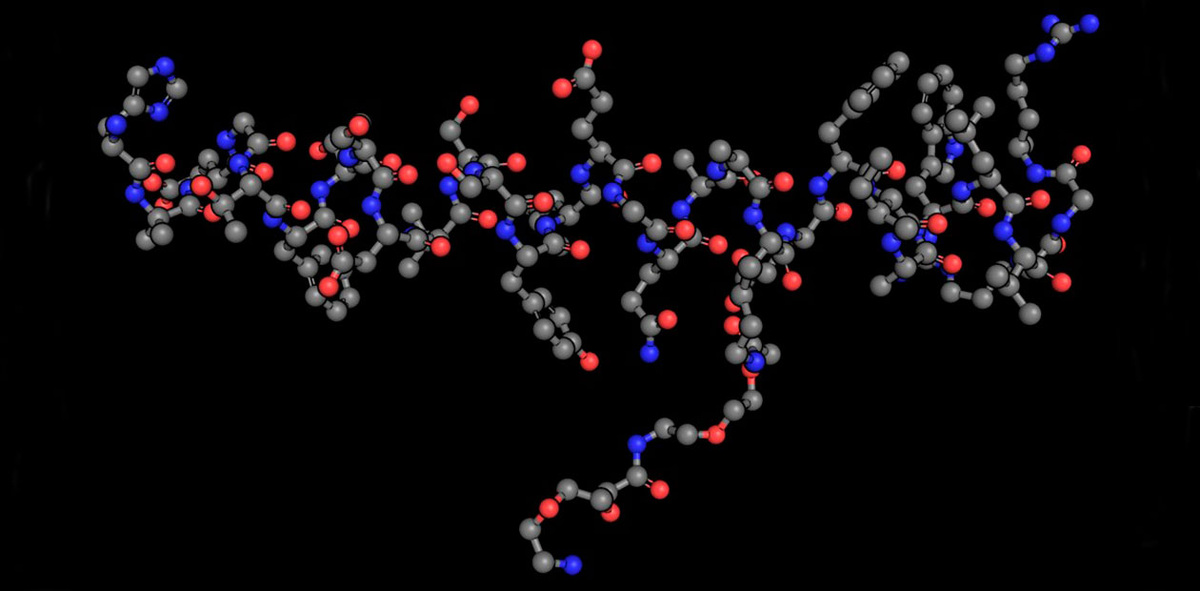 Структура семаглутида – действующего вещества препарата для лечения сахарного диабета и ожирения. Public Domain