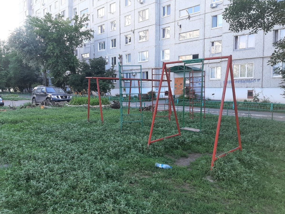    Спустя две недели после требования Паслера покосить в Оренбурге всю траву жители города продолжают жаловаться на заросли