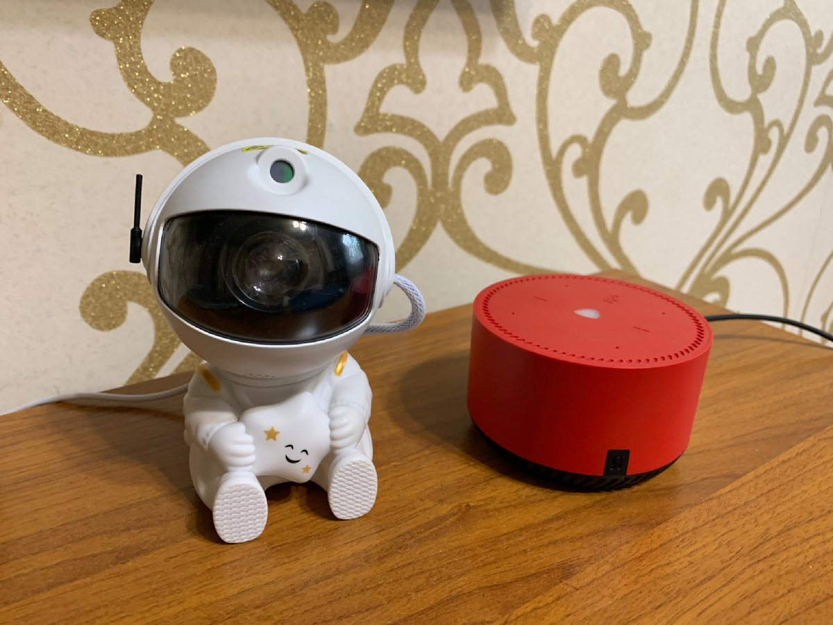 Знакомьтесь, Алиса и ее товарищ