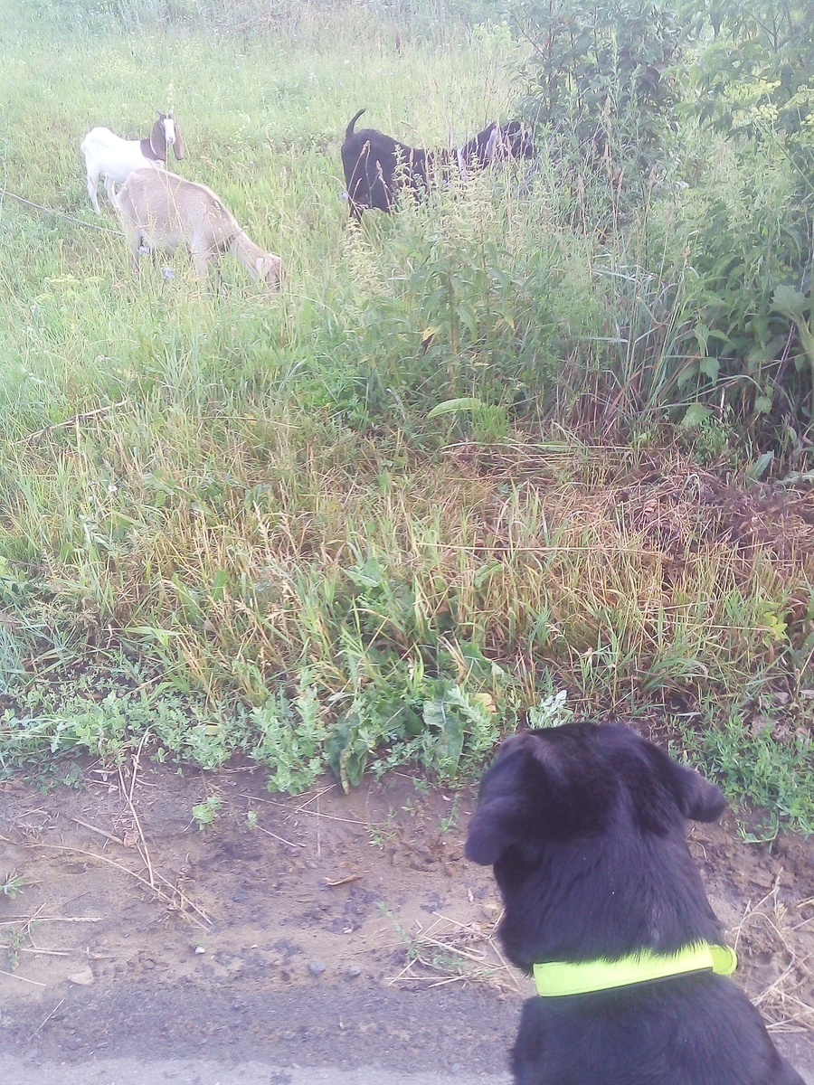 Фото автора. 