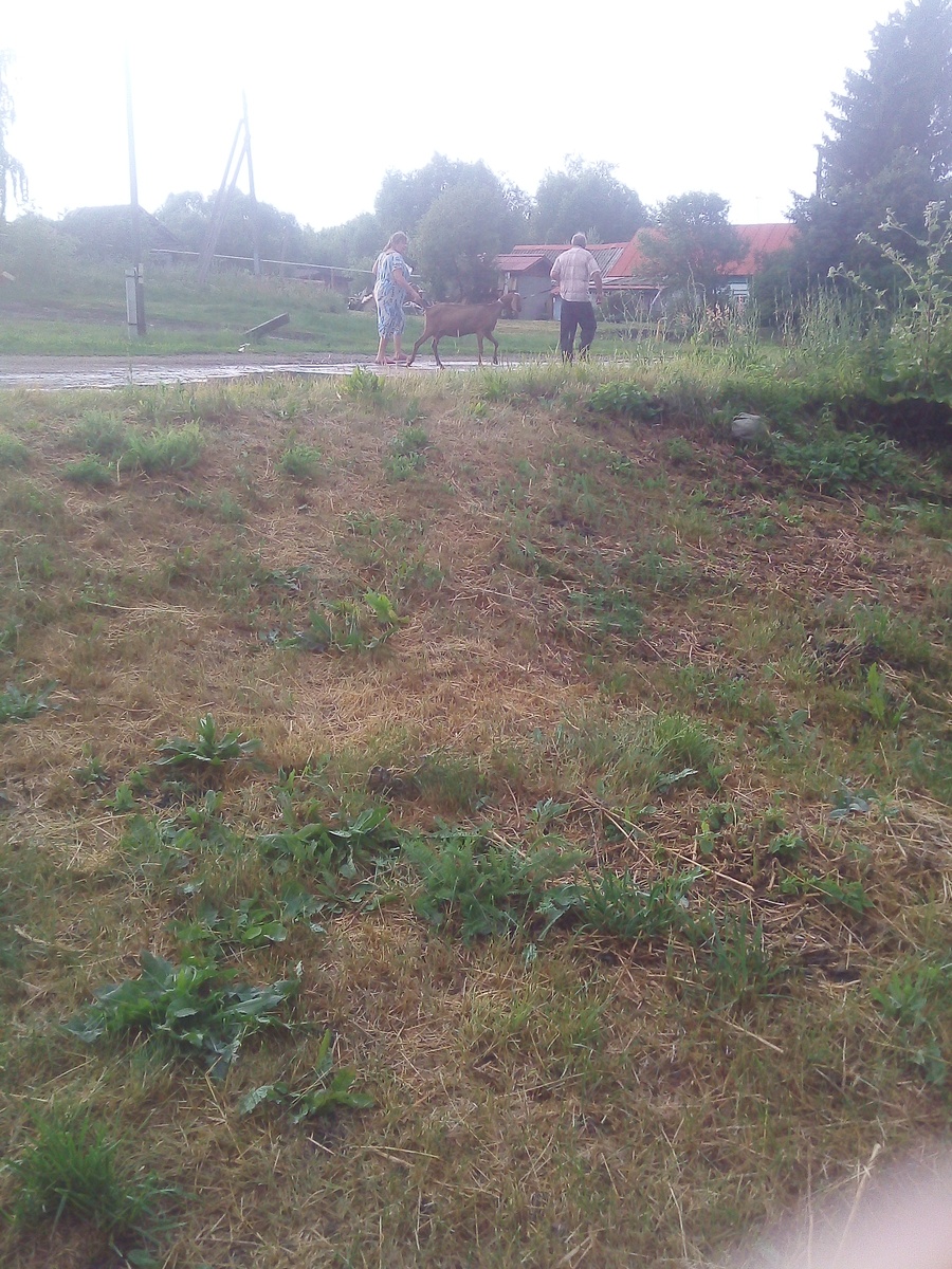 Фото автора. 