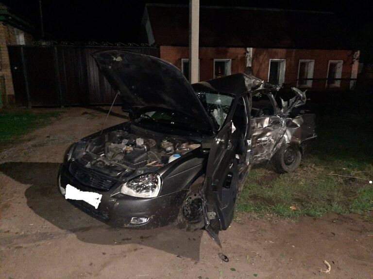    Вылетел с дороги и врезался в дерево. В Сорочинске в ДТП пострадали два человека Марина Шарт