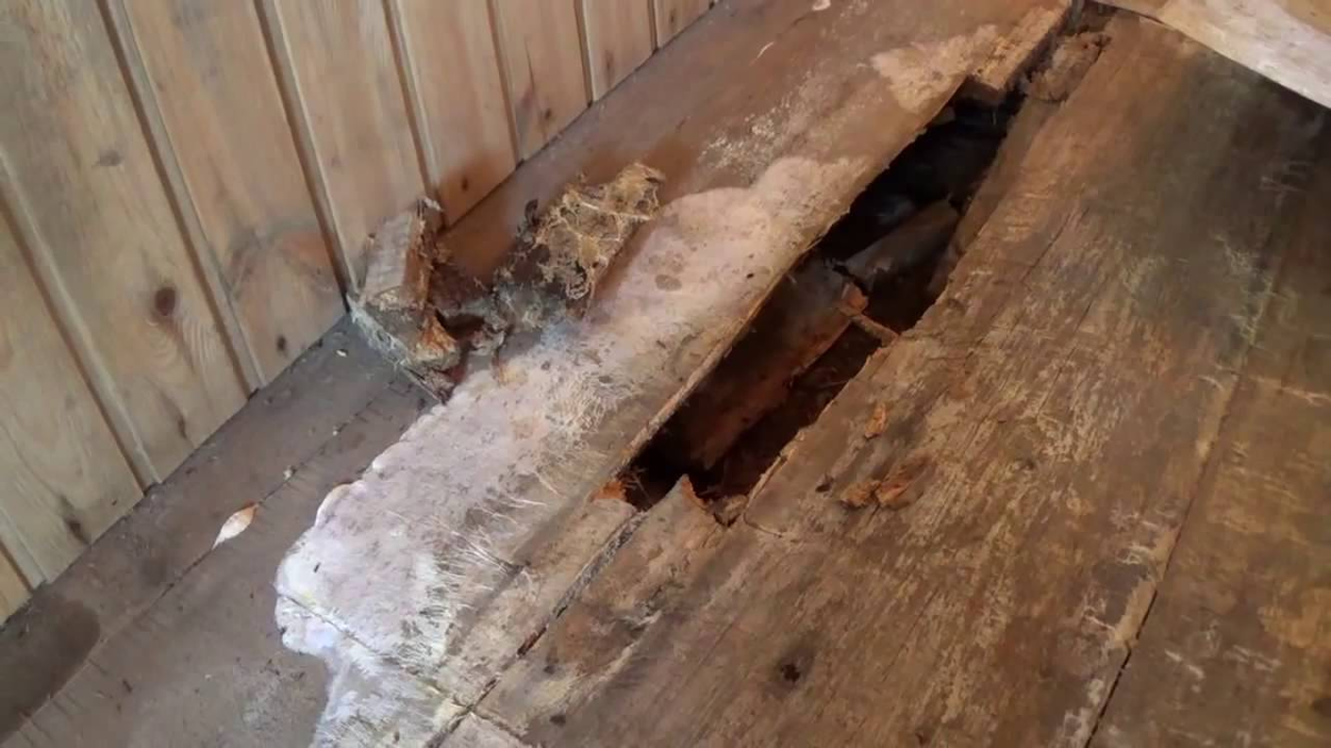 Гнилой пол. Разбитый деревянный пол. Сгнивший деревянный пол. Сон полы гнилые. Библиотека рухнула.