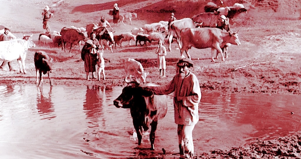 Что стало причиной голода 1946-1947 гг. на самом деле? Почему он не случился в годы ВОВ и виновата ли в этом советская власть