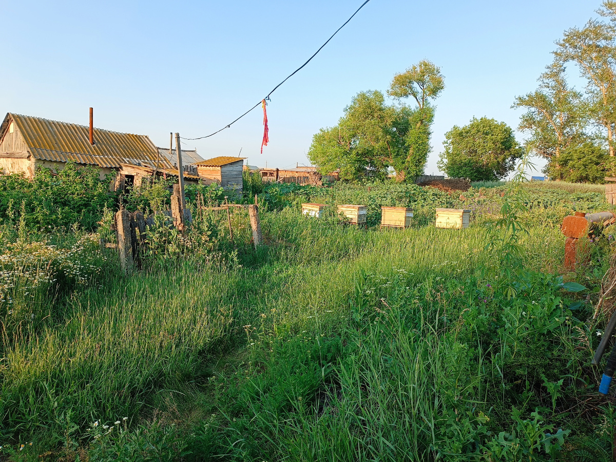 Фото автора