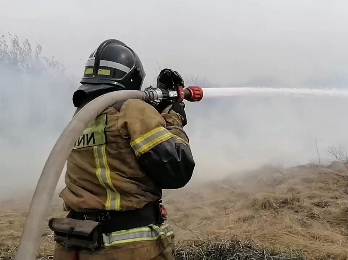    Тушение пожара в Курганской области© РИА Новости / Пресс-служба МЧС РФ