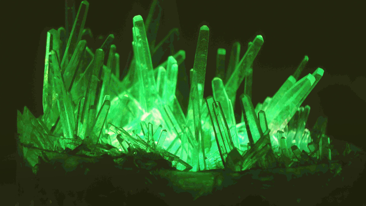 ДОМАШНИЕ БИОЛОГИЧЕСКИЕ ОПЫТЫ ОТ ШКОЛЫ "КУРС НА МЕД"