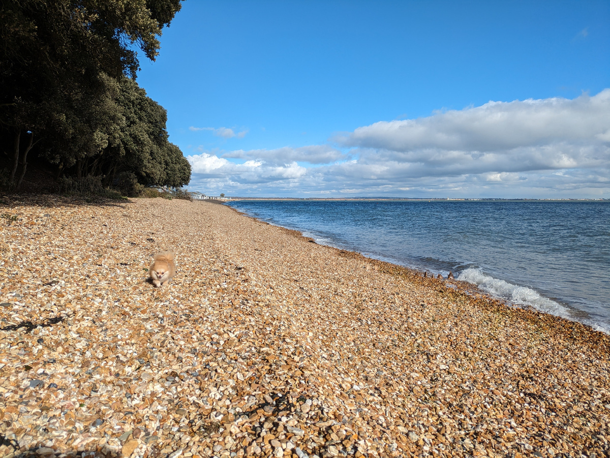 Пляж Calshot в проливе Солент, Ла-Манш. Хэмпшир. Фото из личного архива 