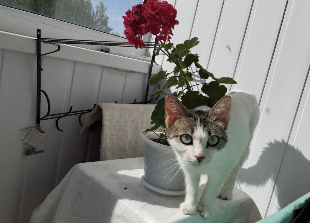 Глаз не отвести от такой красоты