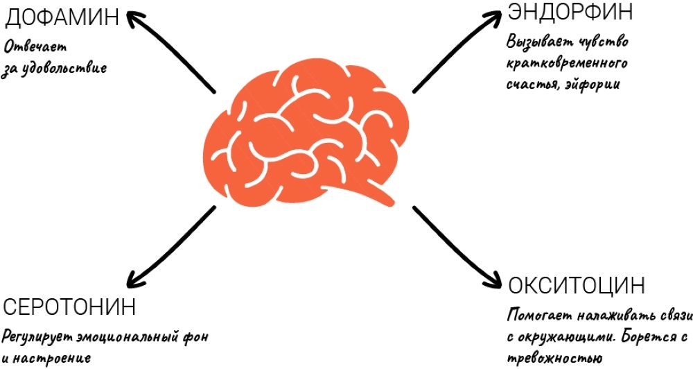 Взято из открытых источников интернета