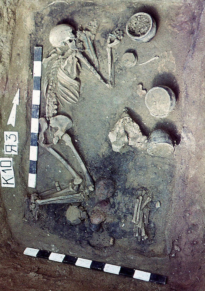   Andrey Epimakhov et al. / Archaeological and Anthropological Sciences, 2024