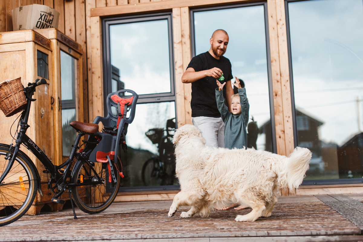 Стекла с тонировкой сами по себе — элемент дизайна