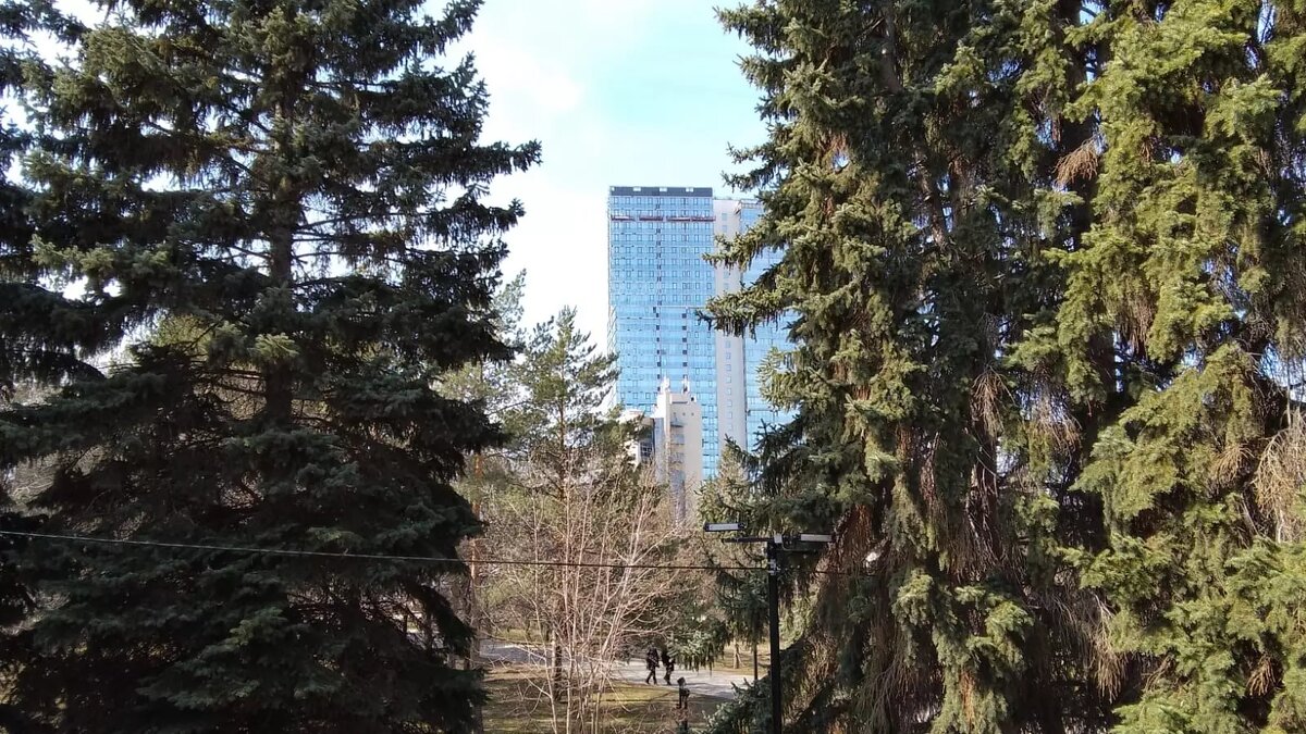     Источник: kursdela.biz