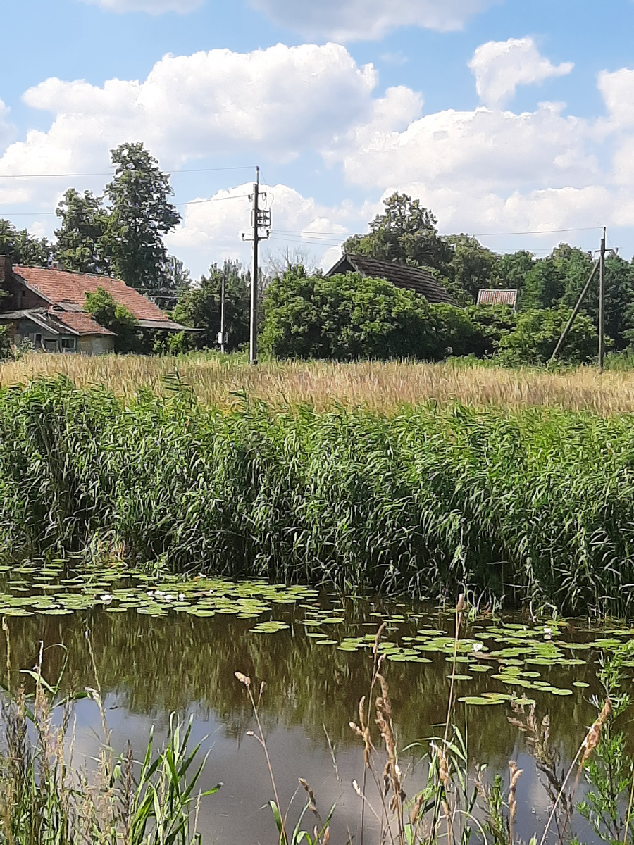 Хутор Калининградская область (личное фото)