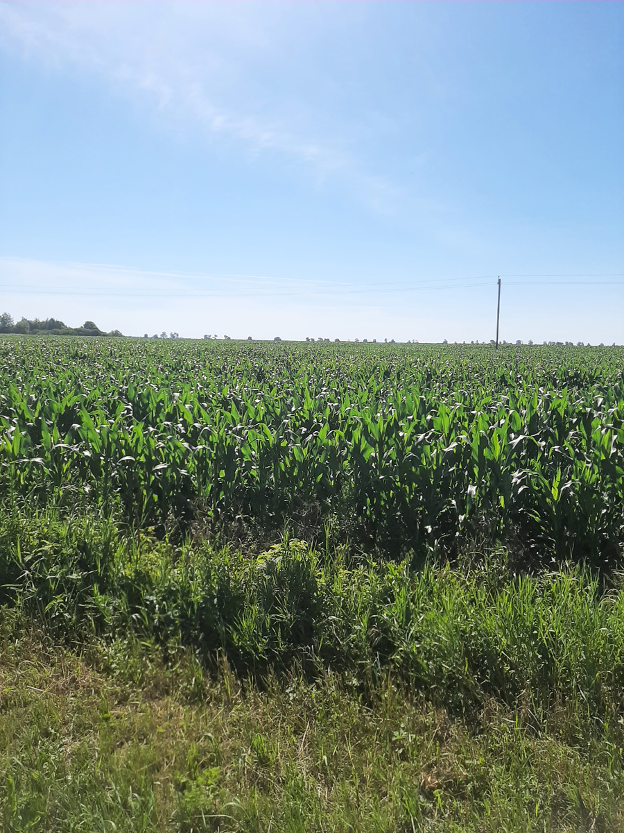 Здесь раньше были хутора (личное фото)
