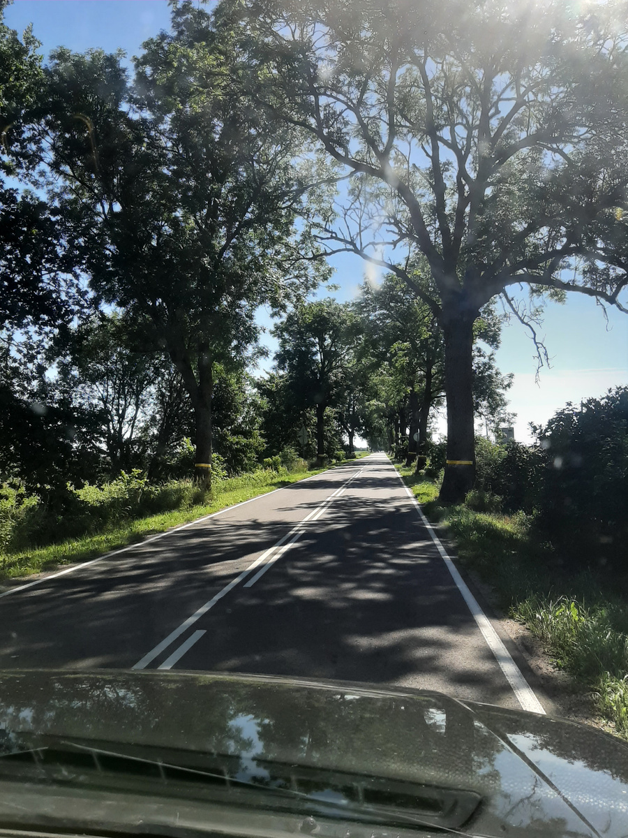 Дорога между поселками (личное фото)