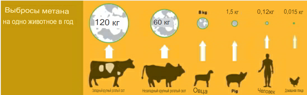 Выбросы метана в год (фото из сети)
