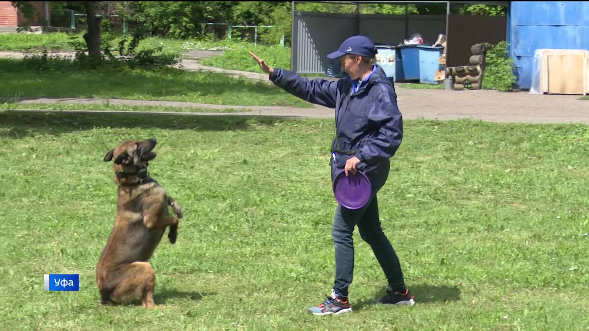    "Вести" побывали в единственном в Башкирии вневедомственном центре дрессировки собак