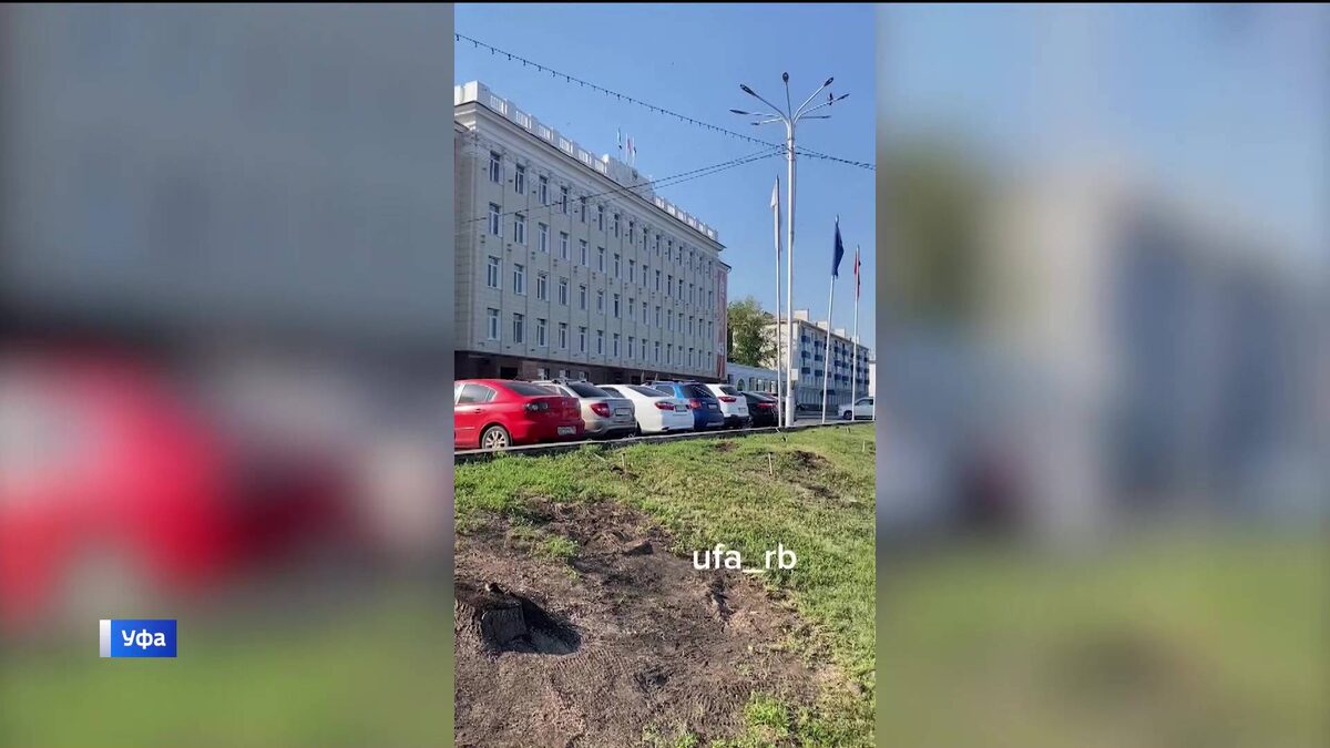    Ночью в Уфе возле здания Горсовета спилили многолетние ели