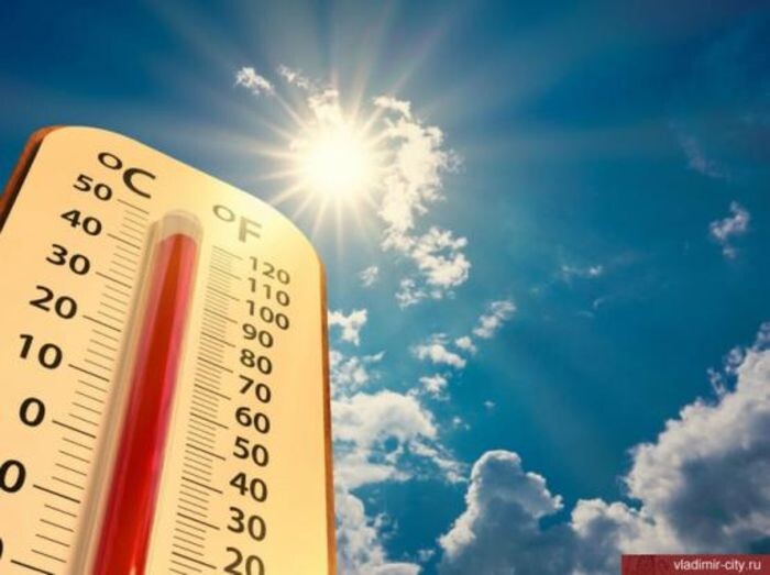 Источник фото: Мэрия Владимира