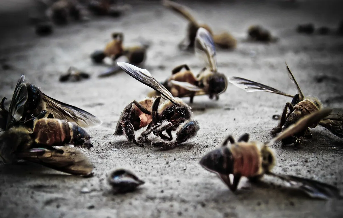 В апреле 2024 года популярный научный журнал Nature выпустил статью, в которой описаны пять новых исследований учёных из разных стран о повсеместном массовом вымирании насекомых.