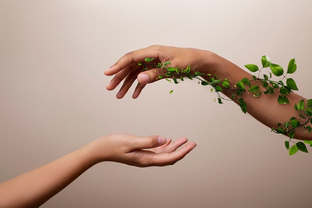 Фото взято из интернета