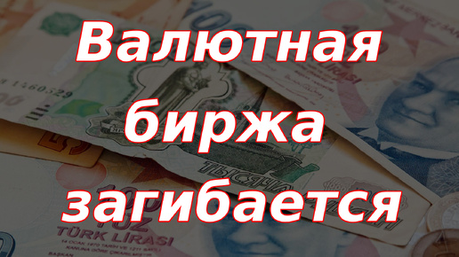 Валютная биржа загибается, остановка торгов лирой