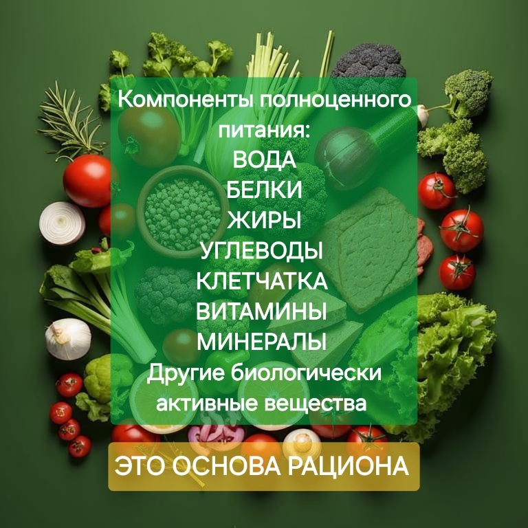 Зная принципы здорового питания легко составить полноценный, сбалансированный рацион. 