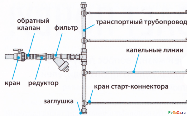 Разводка капельного полива