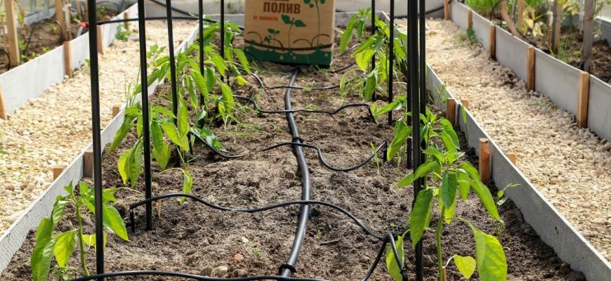 ТЕХНИКА-ИНВЕНТАРЬ