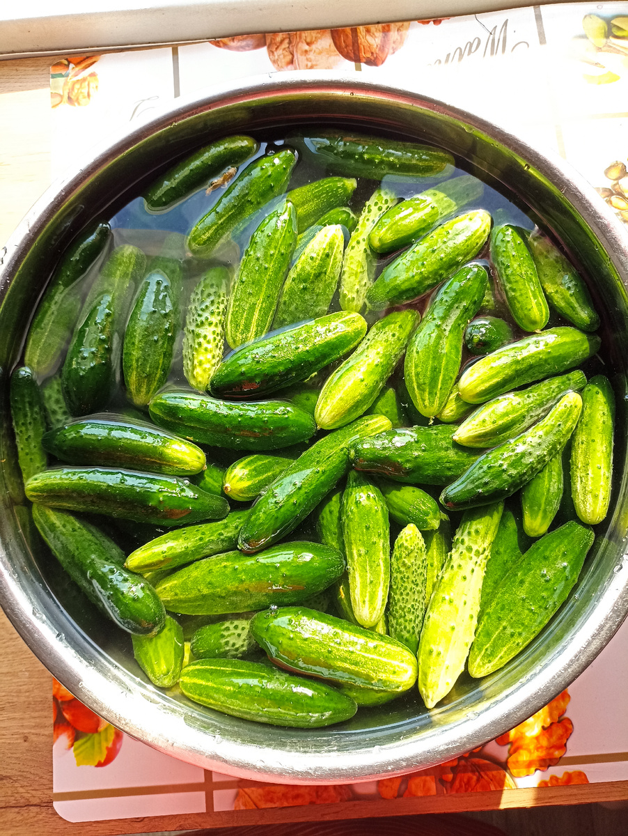 Вода должна покрывать