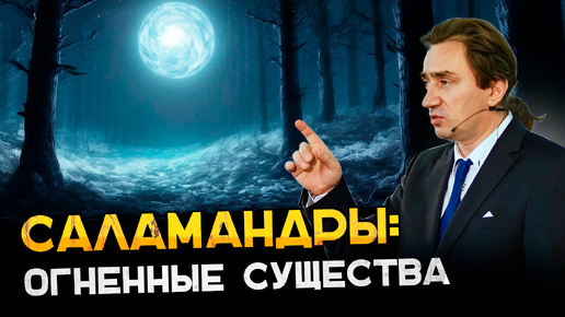 Саламандры - огненные существа. Сергей Серебряков