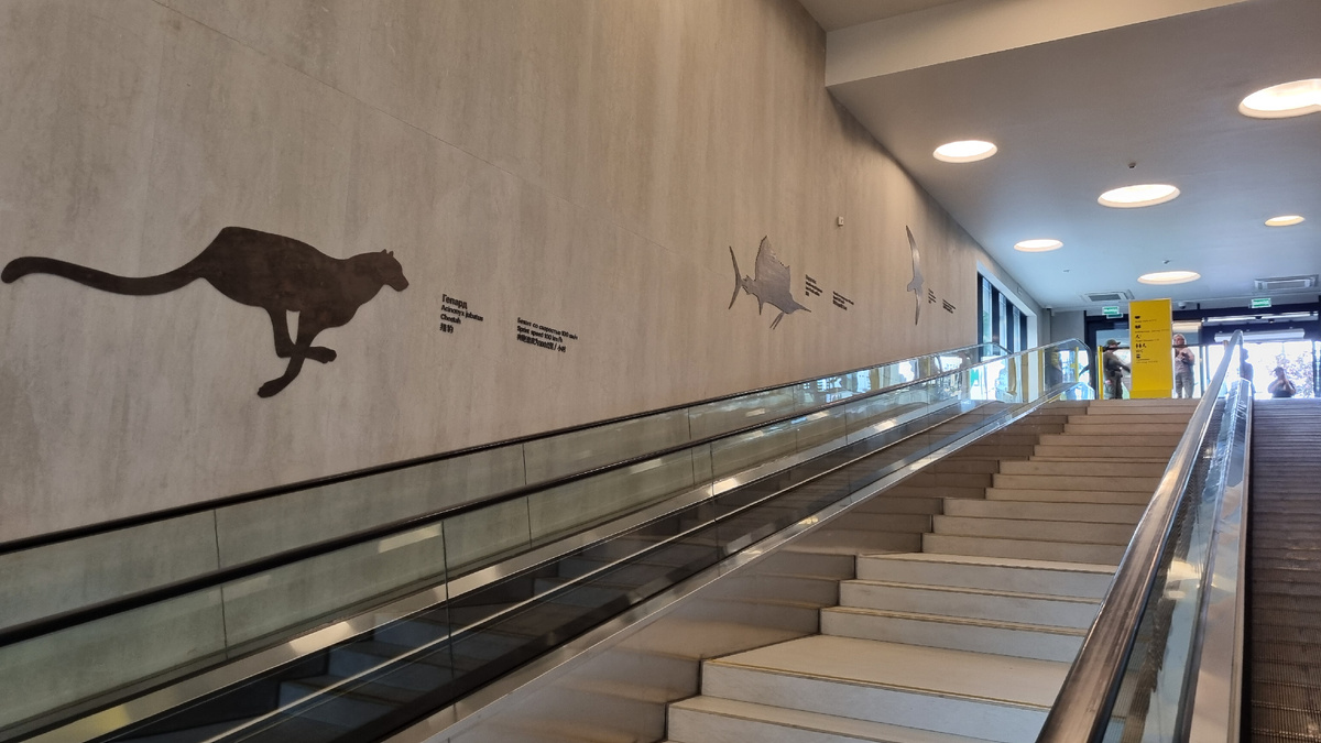 Атмосферно уже при подъёме на улицу.