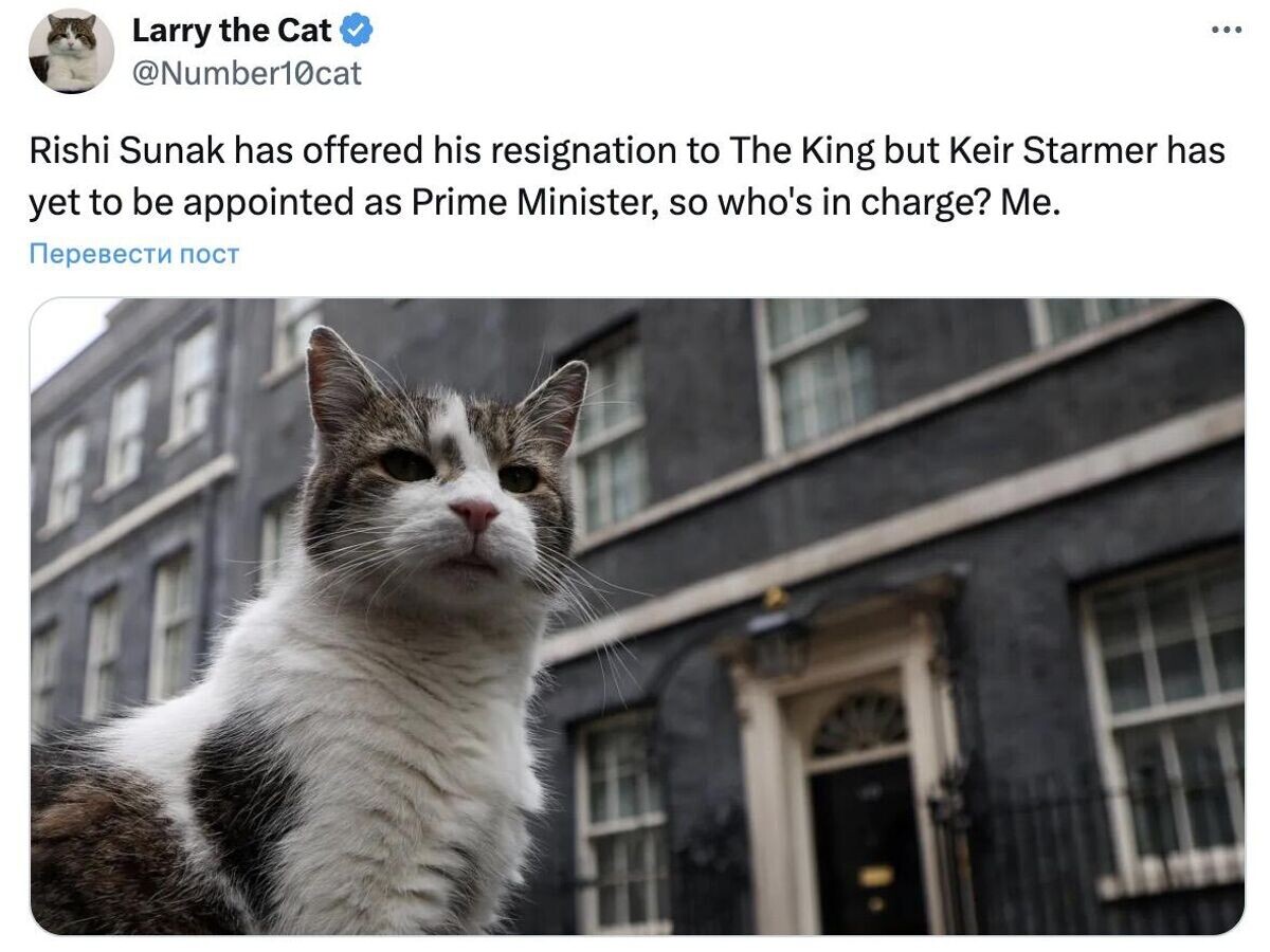    Публикация на странице кота Ларри в социальной сети© Number10cat/X