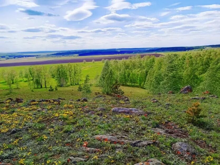 Фото: Евгения Александрова