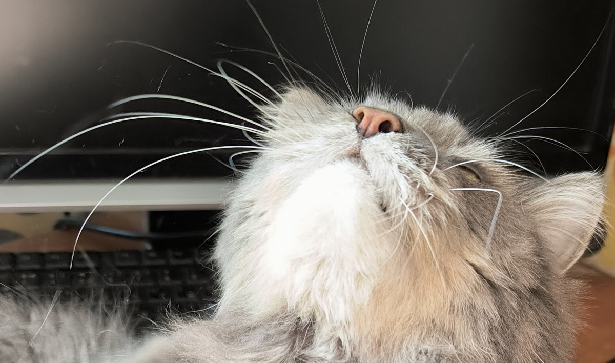 Все фотографии в статье авторские. 