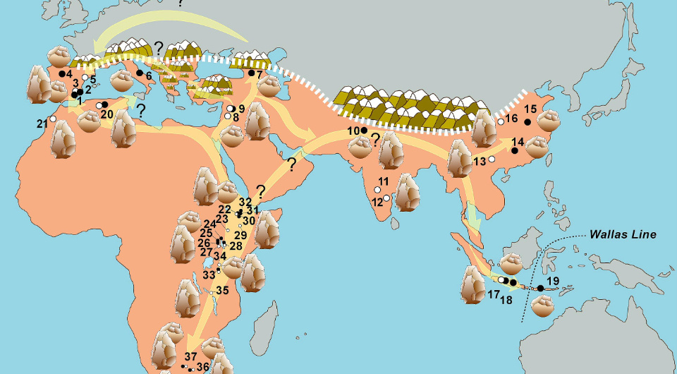   Luis Gilbert et al. / Earth-Science Reviews, 2024