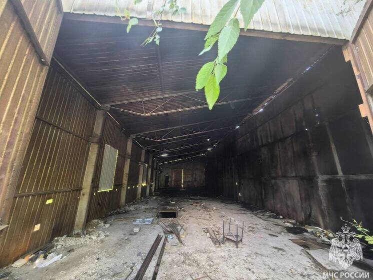     Пожар в Мирном. Фото: ГУ МЧС по Саратовской области