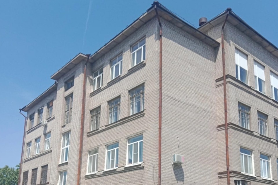    Зоозащитники хотят спасти оставшихся под крышей птенцов. Фото: Марина Романова