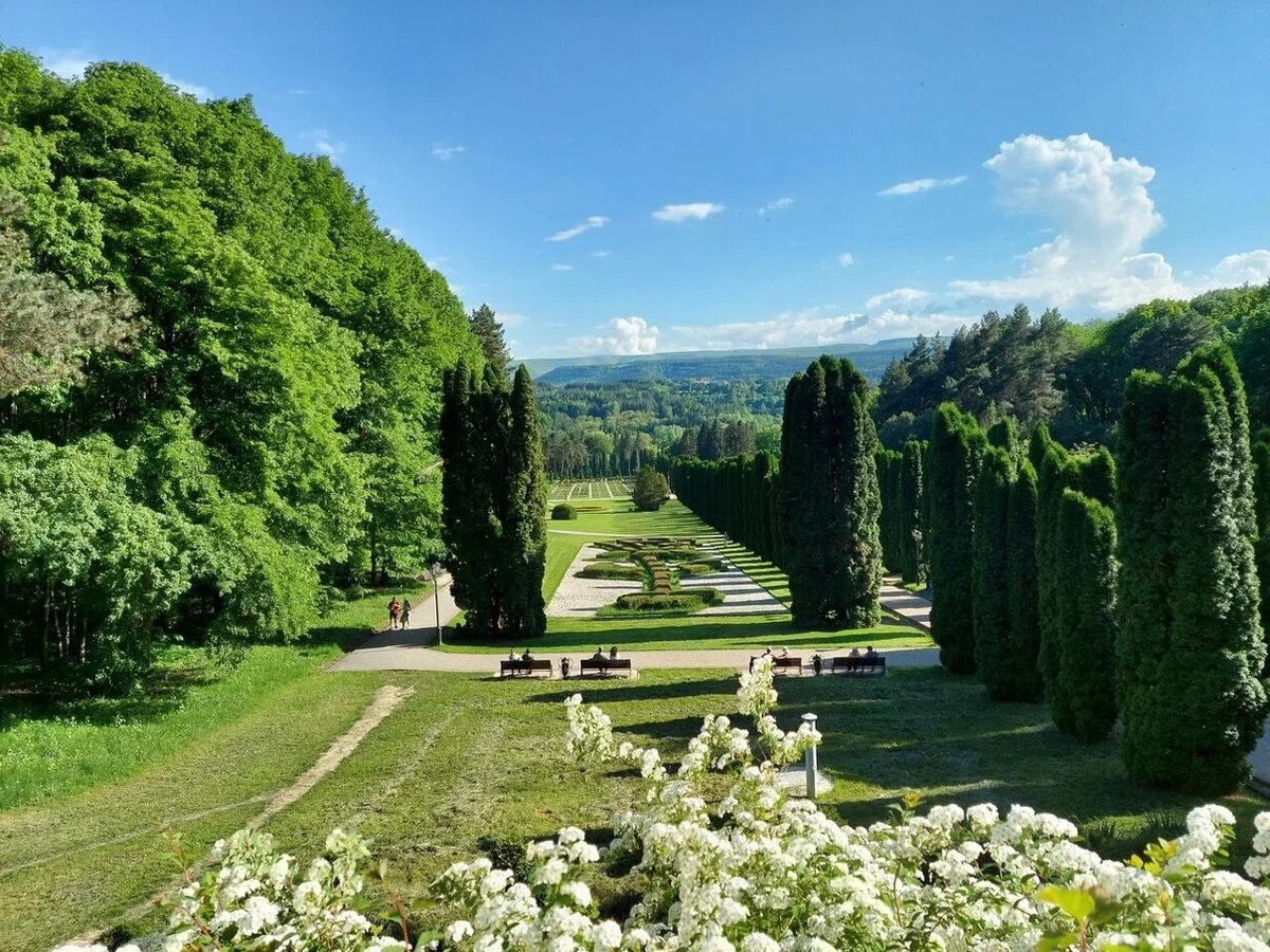 Долина роз в Национальном парке Кисловодска: цветы на фоне туй и можжевельников производят большое впечатление на отдыхающих. Источник фото: Яндекс Карты. Автор: Сергей Колесниченко