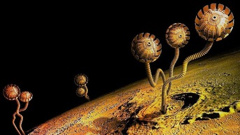 Внеземное происхождение жизни, две теории: Панспермия и Органические молекулы из космоса (а также генетика, Дарвинизм, современный синтез)