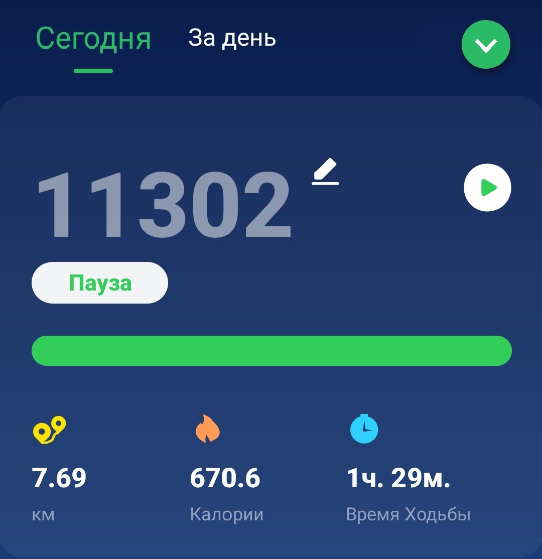 Скрин из приложения шагомер