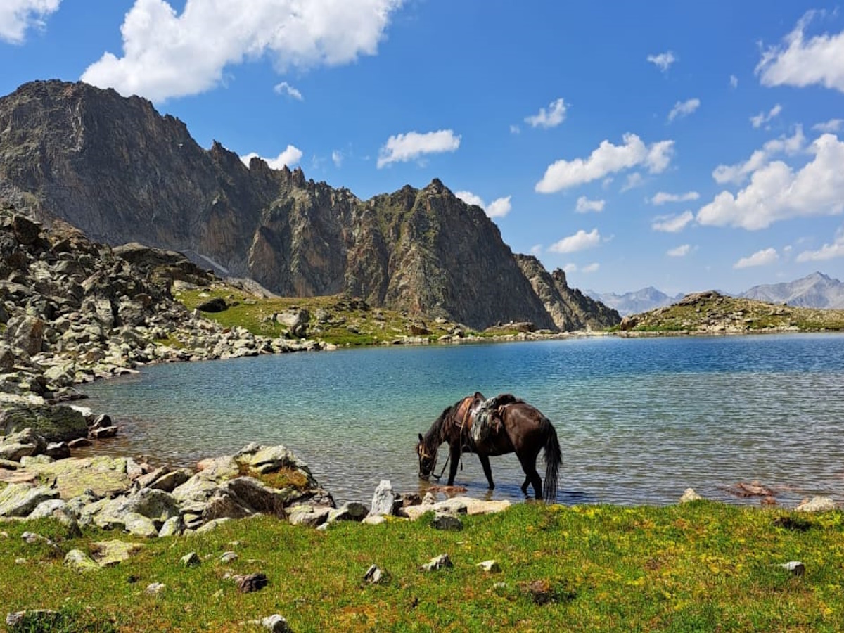 Карачаево-Черкесская Республика славится не только большим разнообразием маршрутов для конных прогулок, но и особой карачаевской породой лошади