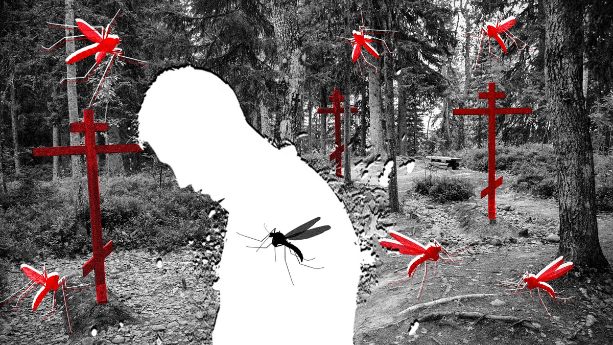 Узнай Россию (Фото: Visem (CC BY-SA 3.0)) 