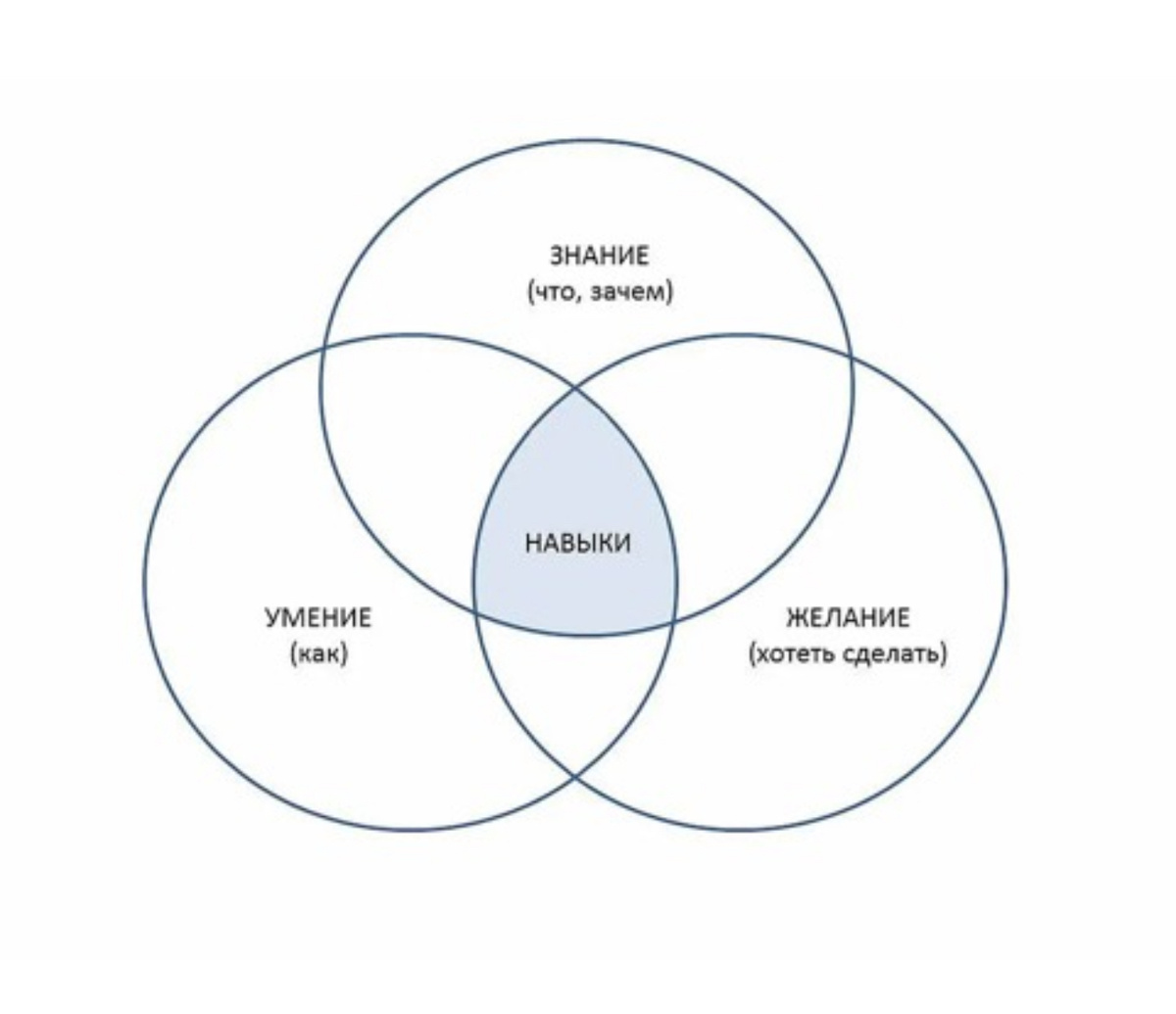 Навык - это то что Вы делаете на автомате.