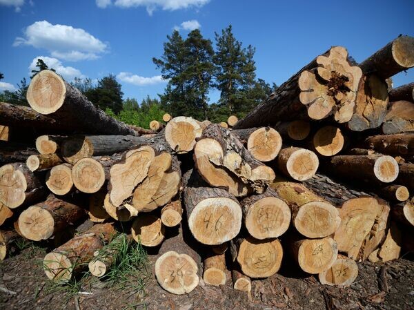    © РИА Новости Александр Кряжев