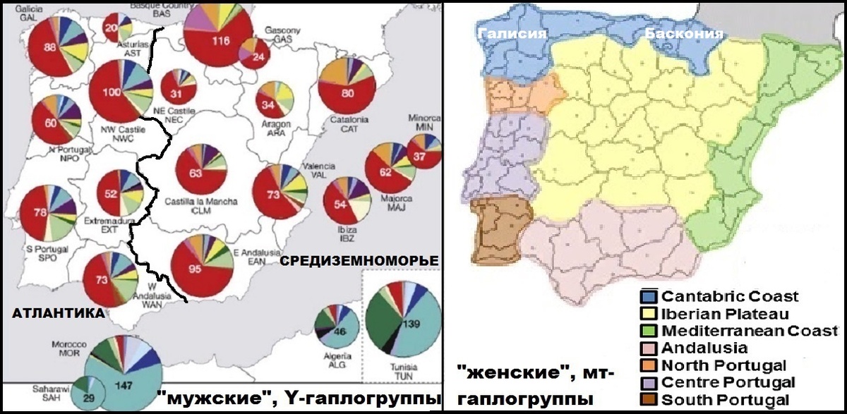 РОДСТВО ПО МАТЕРЯМ НЕ ОЗНАЧАЕТ РОДСТВА ПО ОТЦАМ. Граница областей родства жителей Пиренейского полуострова, полученная по данным анализа Y-гаплогрупп РАЗДЕЛЯЕТ НАДВОЕ единую по данным анализа мт-гаплогрупп область родства басков и галисийцев. (материал из открытых источников)  
