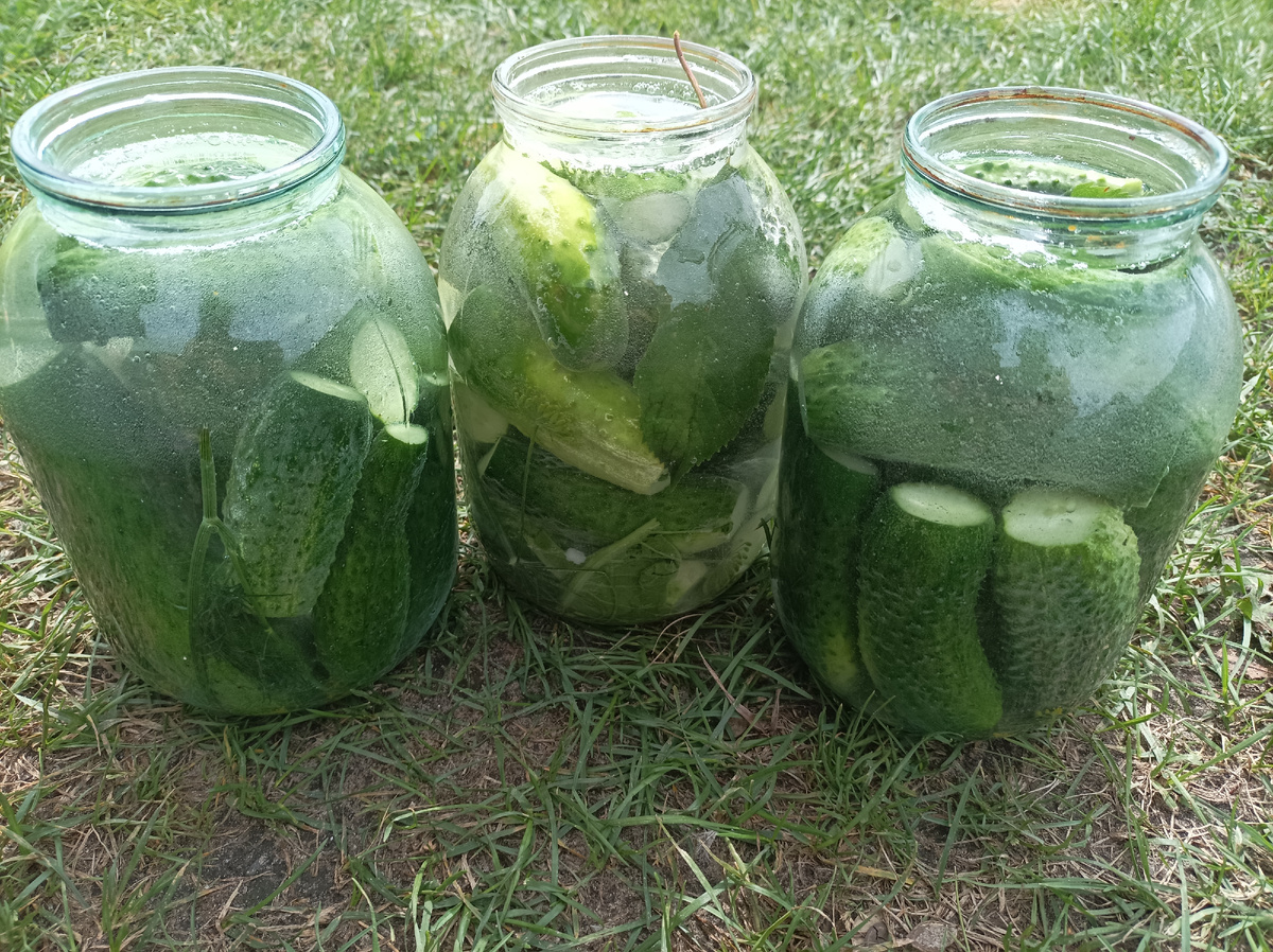 До вечера стоят на улице, потом в холодильник или подвал. Завтра вечером уже можно будет есть. 