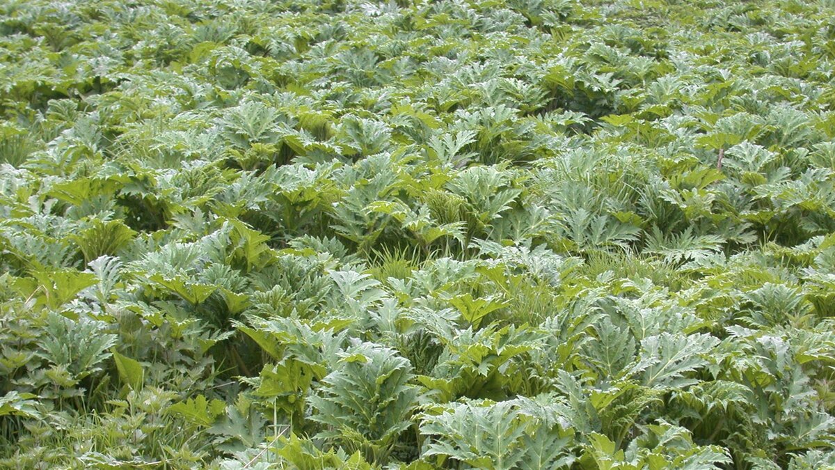 Фото: A. Jagel/globallookpress.com